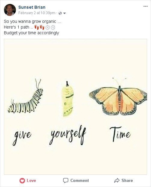 Caterpillar ButterFly FacbookOrganic growth Philosophy positivity post